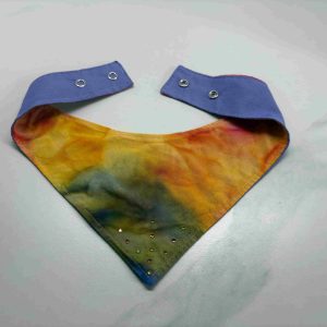 Bandana multicolor