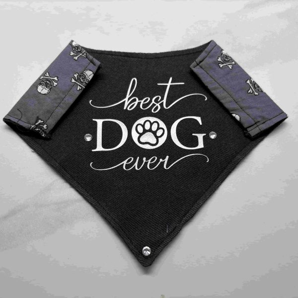 Bandana best dog ever