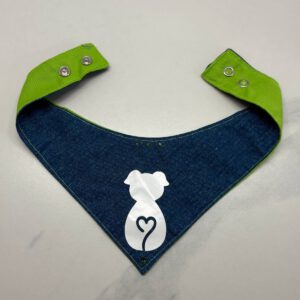 bandana pour chien jeans et vert